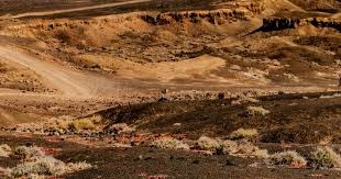 弗兰克：本场欧冠会进行球员轮换，约翰逊能否出战还需观察